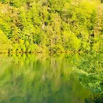 Woody - Duplex Nature Bonsoy Ardennes *