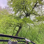 Chalet Woody - Duplex Nature Bonsoy Ardennes *