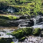 Woody - Duplex Nature Bonsoy Ardennes Hastiere-par-dela