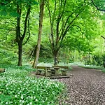 Woody - Duplex Nature Bonsoy Ardennes Hastiere-par-dela