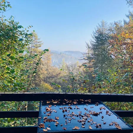 Woody - Duplex Nature Bonsoy Ardennes Chalet