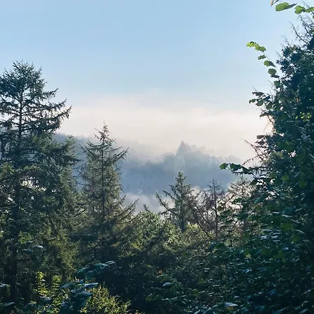 Woody - Duplex Nature Bonsoy Ardennes