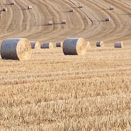 Woody - Duplex Nature Bonsoy Ardennes Alpesi faház Hastière-par-delà