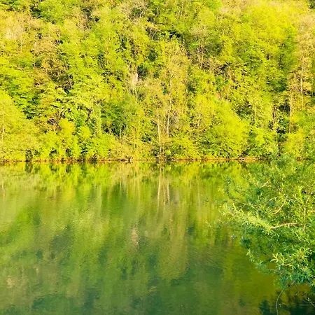 Woody - Duplex Nature Bonsoy Ardennes *