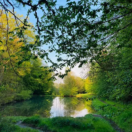 Woody - Duplex Nature Bonsoy Ardennes Alpesi faház Hastière-par-delà