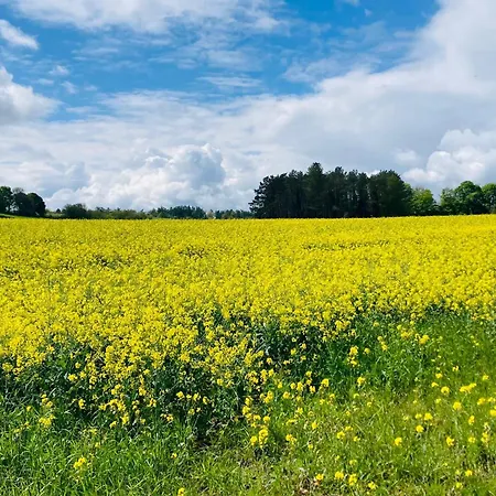 Woody - Duplex Nature Bonsoy Ardennes 木屋