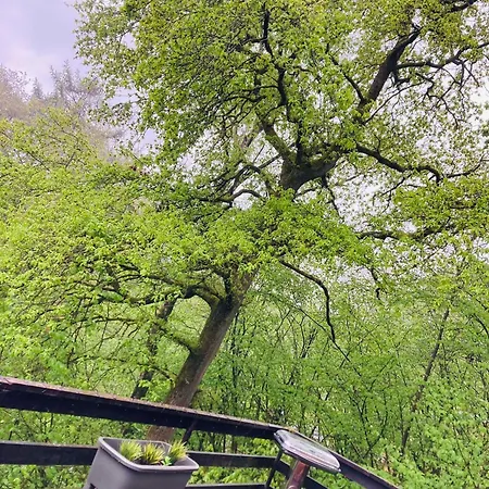 Domek alpejski Woody - Duplex Nature Bonsoy Ardennes *