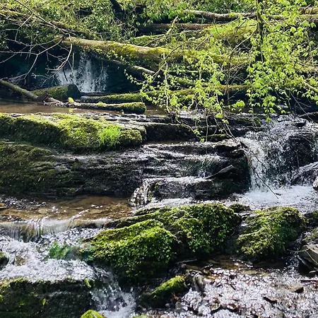Woody - Duplex Nature Bonsoy Ardennes Hastiere-par-dela