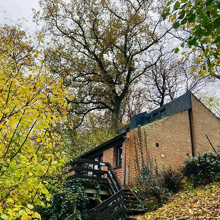 Woody - Duplex Nature Bonsoy Ardennes Hastiere-par-dela