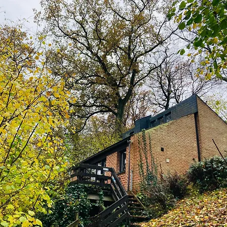 Woody - Duplex Nature Bonsoy Ardennes Hastiere-par-dela