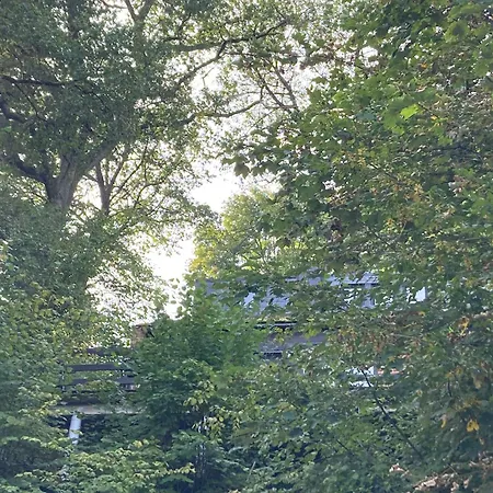 Alpesi faház Woody - Duplex Nature Bonsoy Ardennes Hastière-par-delà