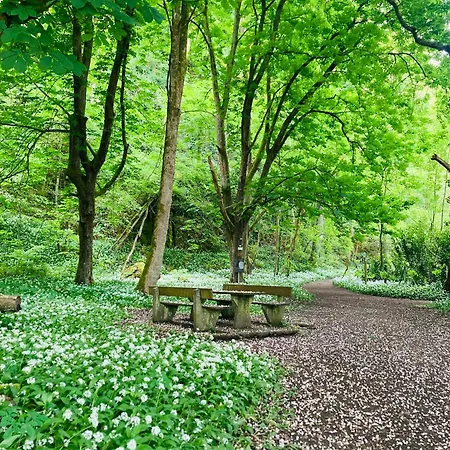 Woody - Duplex Nature Bonsoy Ardennes Hastiere-par-dela