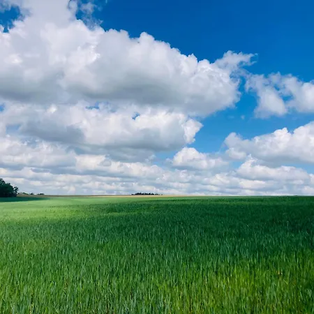 Domek alpejski Woody - Duplex Nature Bonsoy Ardennes *