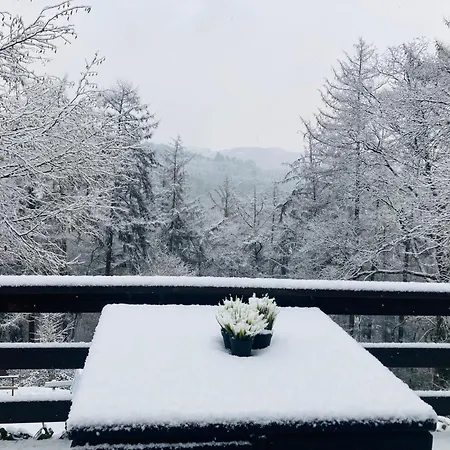 Chalet Woody - Duplex Nature Bonsoy Ardennes
